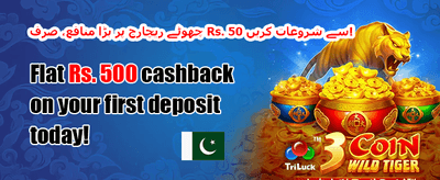 شاندار ویلکم بونس 🏆 promotional offer